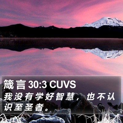 箴 言 30:3 CUVS Bible Verse Image