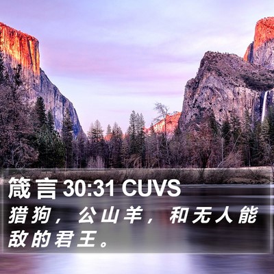 箴 言 30:31 CUVS Bible Verse Image