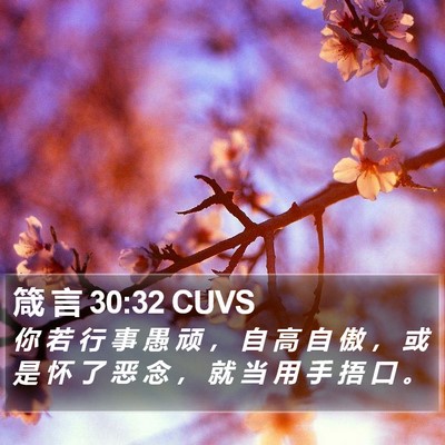 箴 言 30:32 CUVS Bible Verse Image