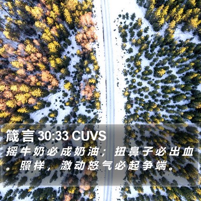 箴 言 30:33 CUVS Bible Verse Image