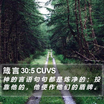箴 言 30:5 CUVS Bible Verse Image