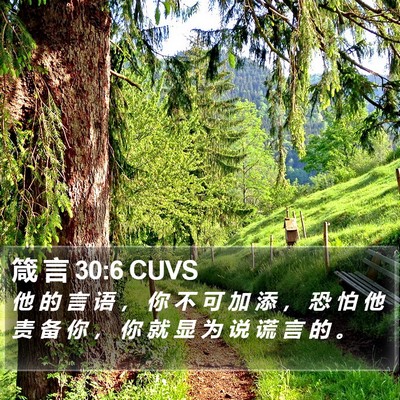 箴 言 30:6 CUVS Bible Verse Image