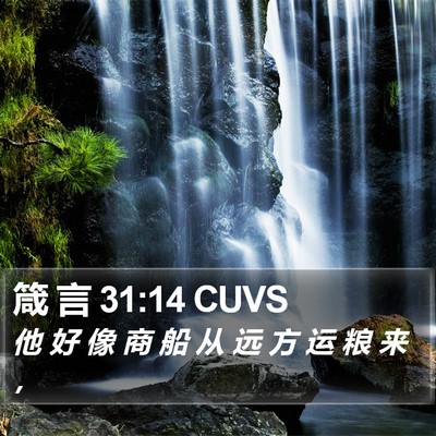 箴 言 31:14 CUVS Bible Verse Image