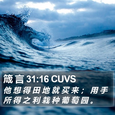 箴 言 31:16 CUVS Bible Verse Image