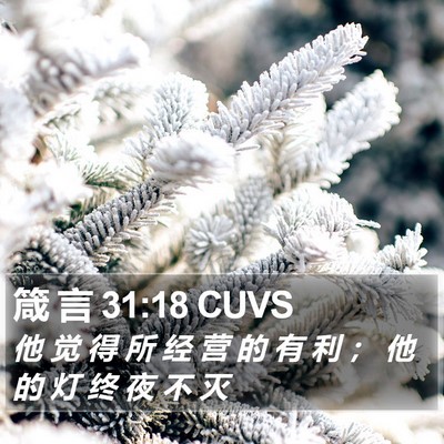 箴 言 31:18 CUVS Bible Verse Image