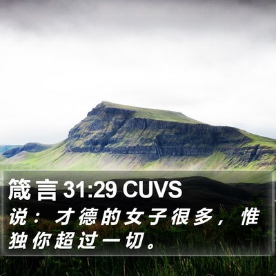 箴 言 31:29 CUVS Bible Verse Image