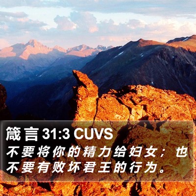 箴 言 31:3 CUVS Bible Verse Image