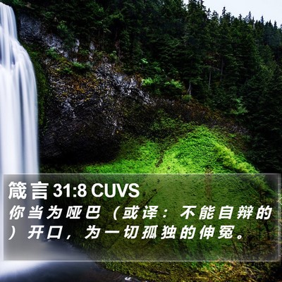 箴 言 31:8 CUVS Bible Verse Image