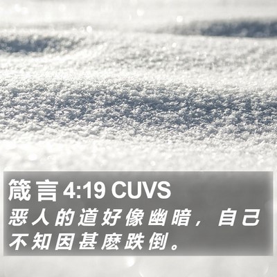 箴 言 4:19 CUVS Bible Verse Image
