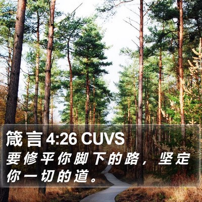 箴 言 4:26 CUVS Bible Verse Image
