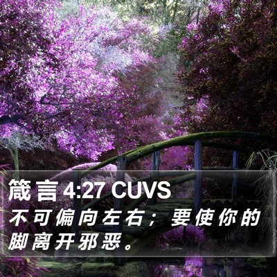 箴 言 4:27 CUVS Bible Verse Image