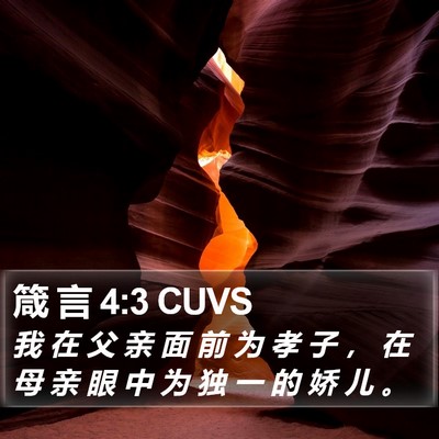 箴 言 4:3 CUVS Bible Verse Image