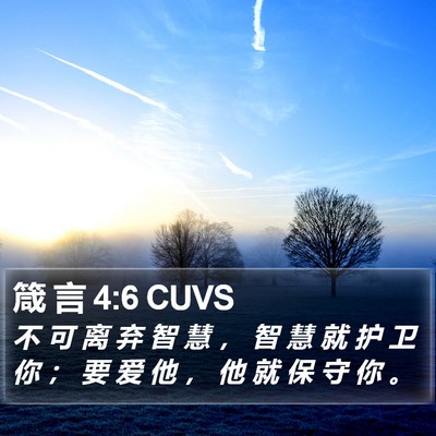 箴 言 4:6 CUVS Bible Verse Image