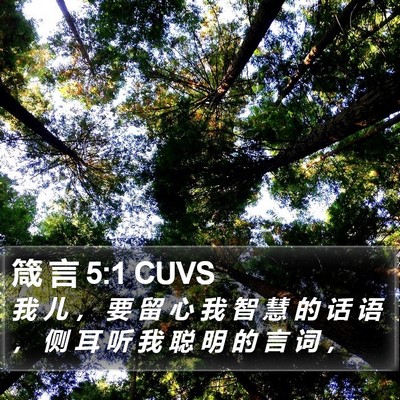 箴 言 5:1 CUVS Bible Verse Image