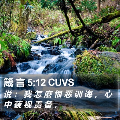 箴 言 5:12 CUVS Bible Verse Image