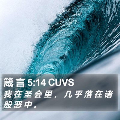 箴 言 5:14 CUVS Bible Verse Image