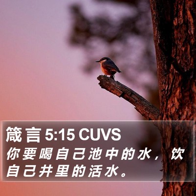 箴 言 5:15 CUVS Bible Verse Image