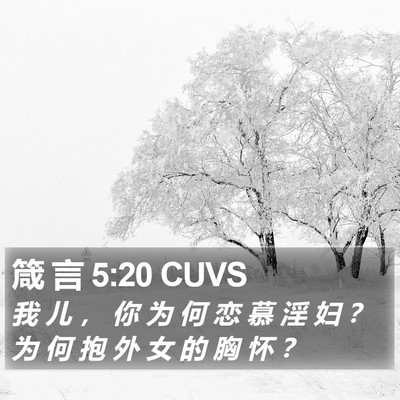 箴 言 5:20 CUVS Bible Verse Image
