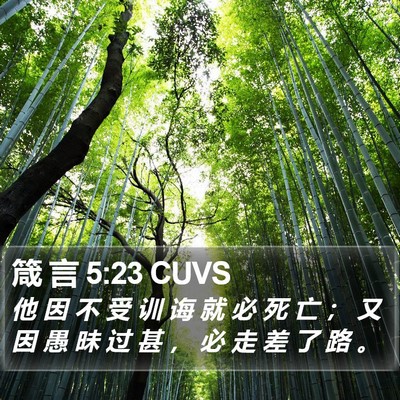 箴 言 5:23 CUVS Bible Verse Image
