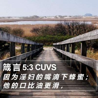 箴 言 5:3 CUVS Bible Verse Image