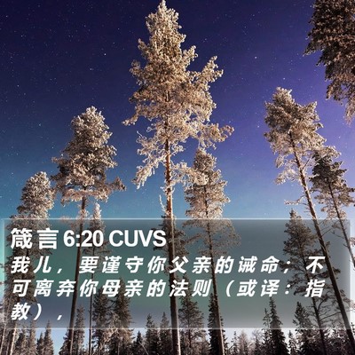 箴 言 6:20 CUVS Bible Verse Image