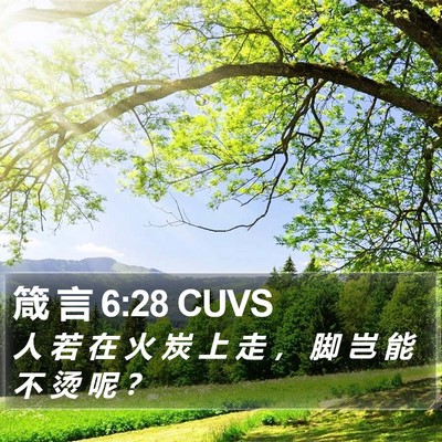 箴 言 6:28 CUVS Bible Verse Image