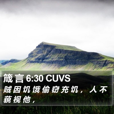 箴 言 6:30 CUVS Bible Verse Image