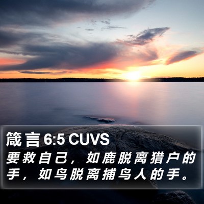 箴 言 6:5 CUVS Bible Verse Image