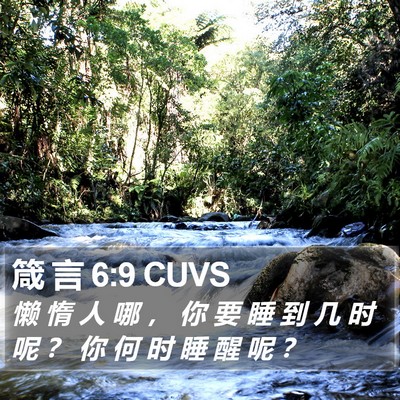 箴 言 6:9 CUVS Bible Verse Image