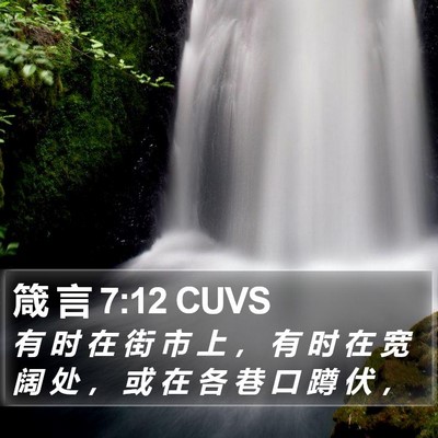 箴 言 7:12 CUVS Bible Verse Image