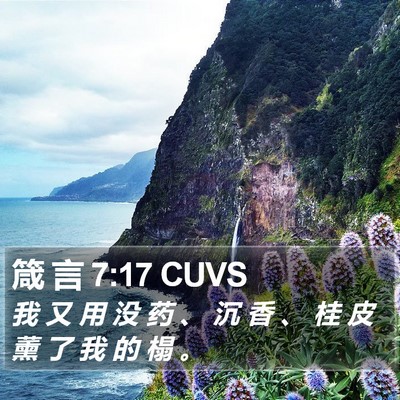 箴 言 7:17 CUVS Bible Verse Image