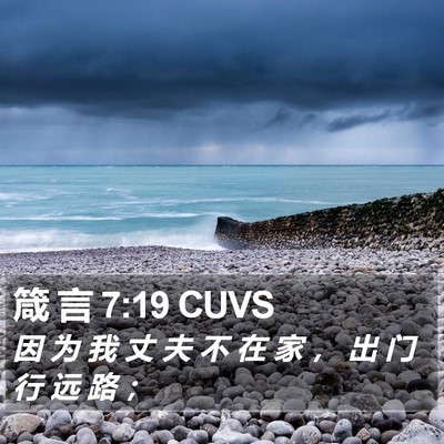 箴 言 7:19 CUVS Bible Verse Image