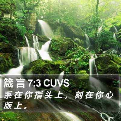 箴 言 7:3 CUVS Bible Verse Image