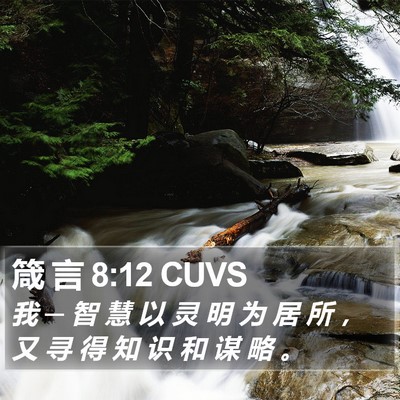 箴 言 8:12 CUVS Bible Verse Image