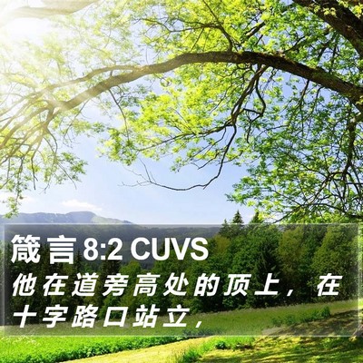 箴 言 8:2 CUVS Bible Verse Image