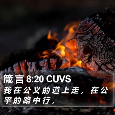 箴 言 8:20 CUVS Bible Verse Image