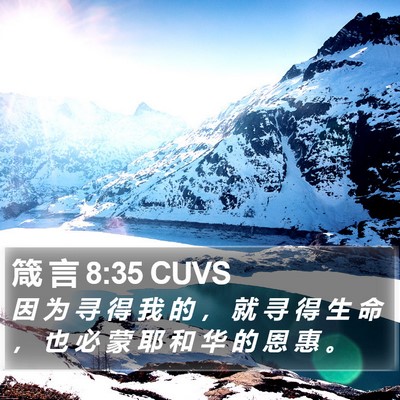 箴 言 8:35 CUVS Bible Verse Image