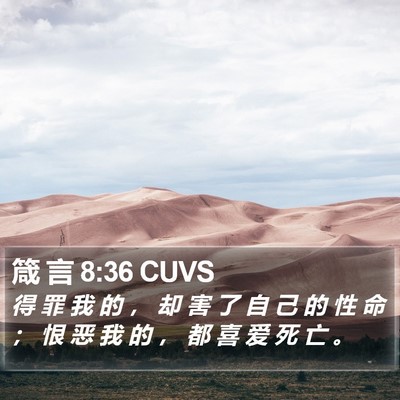 箴 言 8:36 CUVS Bible Verse Image