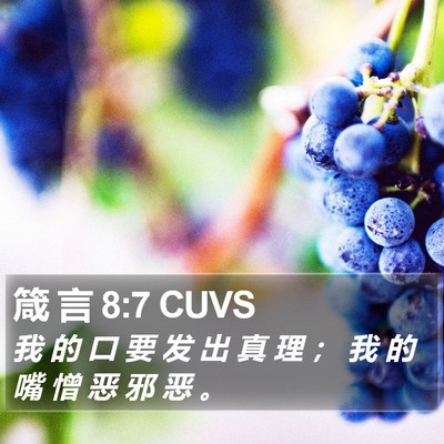 箴 言 8:7 CUVS Bible Verse Image
