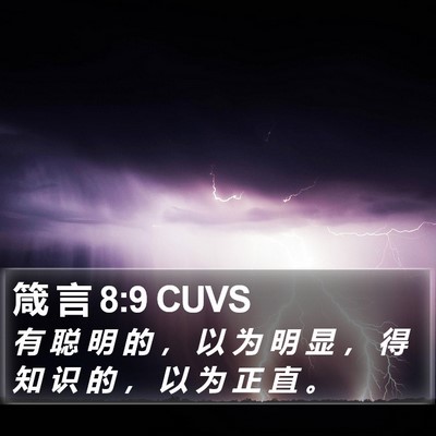箴 言 8:9 CUVS Bible Verse Image