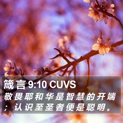 箴 言 9:10 CUVS Bible Verse Image