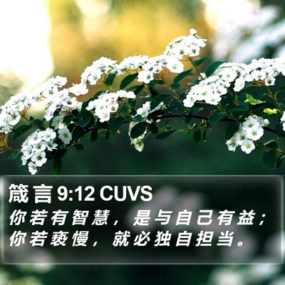 箴 言 9:12 CUVS Bible Verse Image
