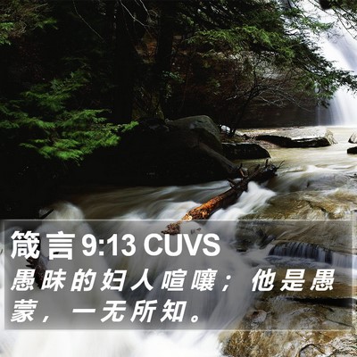 箴 言 9:13 CUVS Bible Verse Image