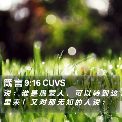 箴 言 9:16 CUVS Bible Verse Image