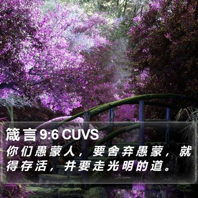箴 言 9:6 CUVS Bible Verse Image