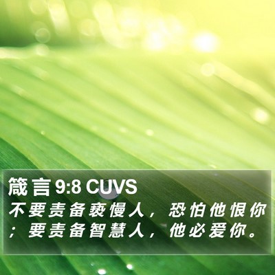 箴 言 9:8 CUVS Bible Verse Image