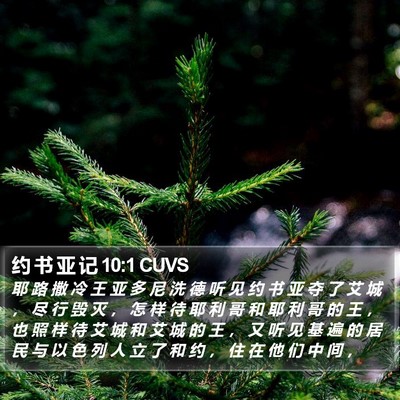 约 书 亚 记 10:1 CUVS Bible Verse Image