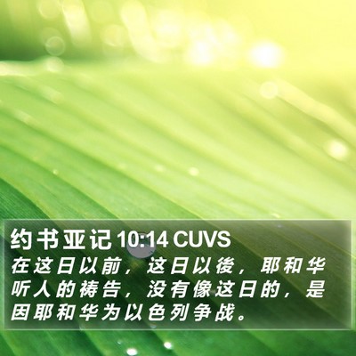 约 书 亚 记 10:14 CUVS Bible Verse Image
