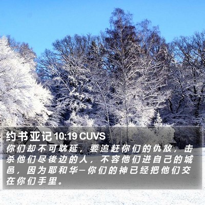 约 书 亚 记 10:19 CUVS Bible Verse Image