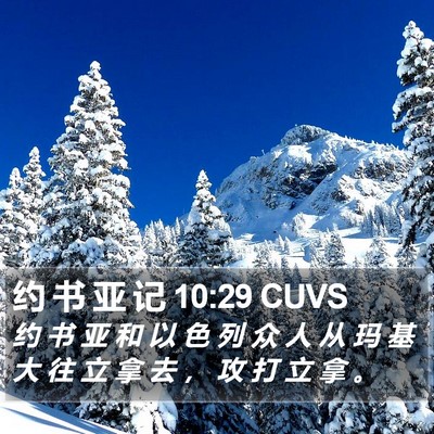 约 书 亚 记 10:29 CUVS Bible Verse Image